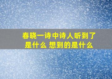 春晓一诗中诗人听到了是什么 想到的是什么